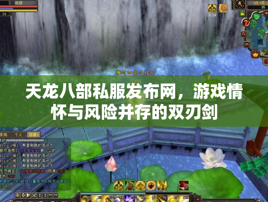 天龙八部私服发布网，游戏情怀与风险并存的双刃剑