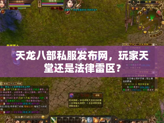 天龙八部私服发布网，玩家天堂还是法律雷区？