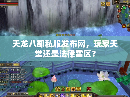 天龙八部私服发布网，玩家天堂还是法律雷区？