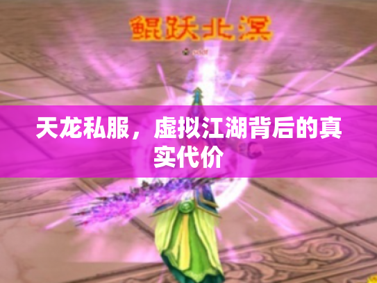 天龙私服，虚拟江湖背后的真实代价