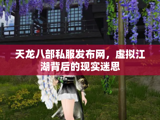 天龙八部私服发布网，虚拟江湖背后的现实迷思