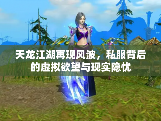 天龙江湖再现风波，私服背后的虚拟欲望与现实隐忧