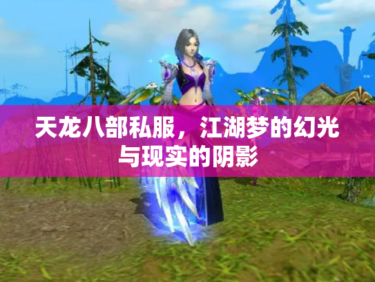 天龙八部私服，江湖梦的幻光与现实的阴影