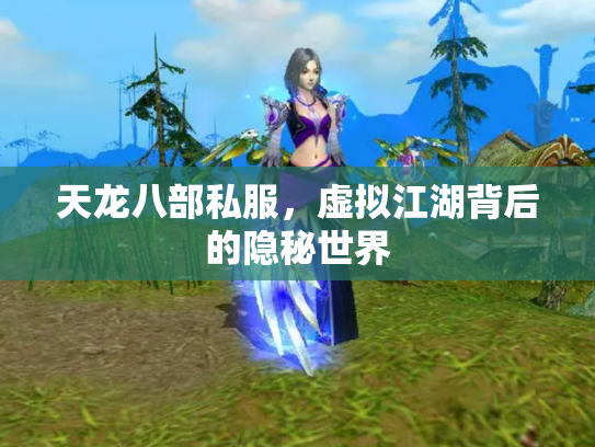天龙八部私服，虚拟江湖背后的隐秘世界