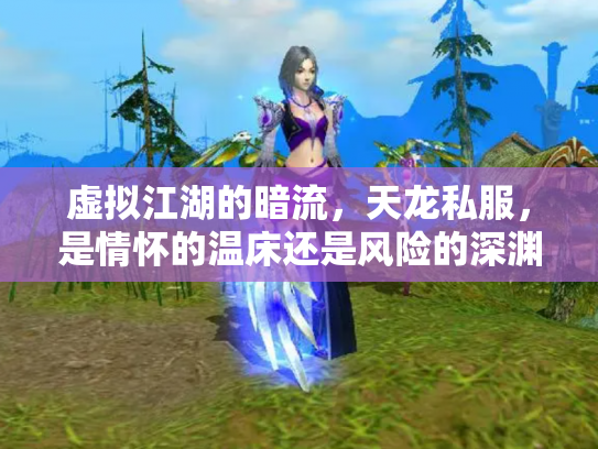 虚拟江湖的暗流，天龙私服，是情怀的温床还是风险的深渊？