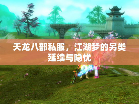 天龙八部私服，江湖梦的另类延续与隐忧