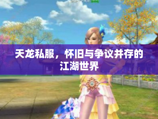 天龙私服，怀旧与争议并存的江湖世界