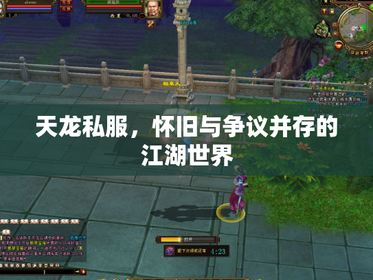 天龙私服，怀旧与争议并存的江湖世界