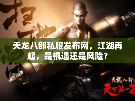 天龙八部私服发布网，江湖再起，是机遇还是风险？