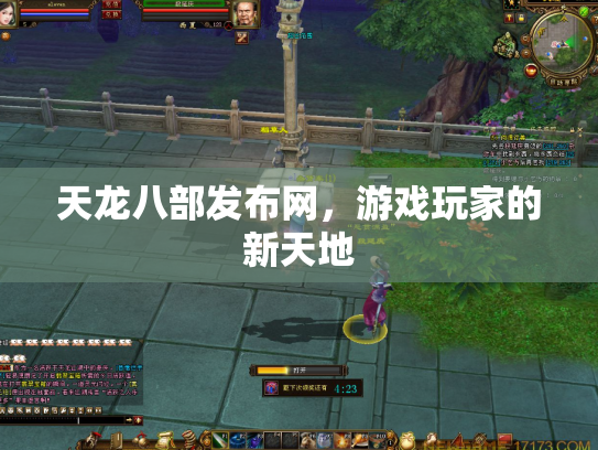 天龙八部发布网，游戏玩家的新天地