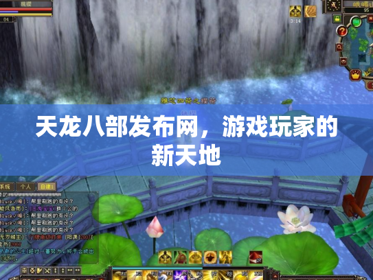 天龙八部发布网，游戏玩家的新天地