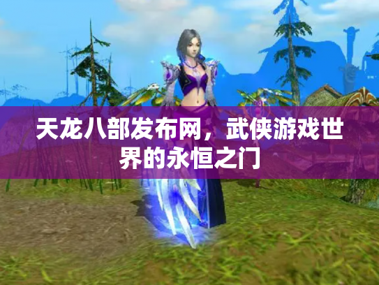 天龙八部发布网，武侠游戏世界的永恒之门