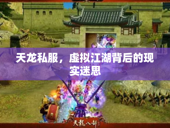 天龙私服，虚拟江湖背后的现实迷思