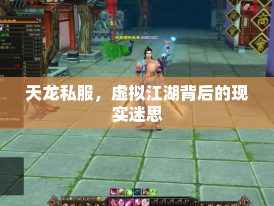 天龙私服，虚拟江湖背后的现实迷思