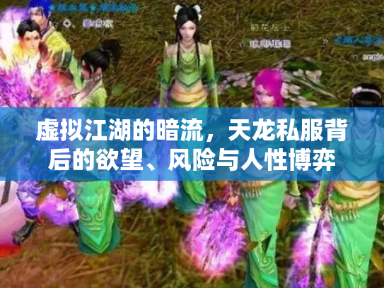 虚拟江湖的暗流，天龙私服背后的欲望、风险与人性博弈