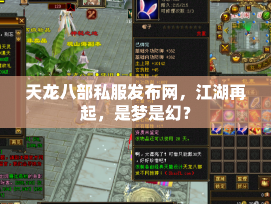 天龙八部私服发布网，江湖再起，是梦是幻？