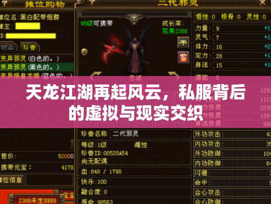 天龙江湖再起风云，私服背后的虚拟与现实交织