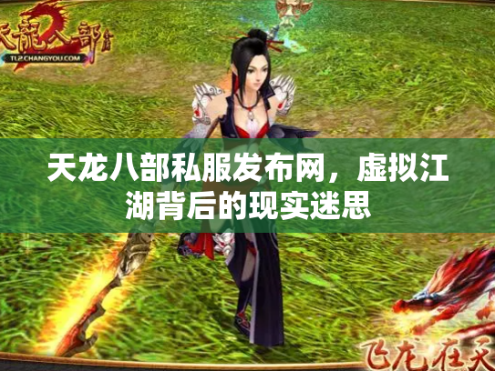 天龙八部私服发布网，虚拟江湖背后的现实迷思