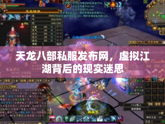 天龙八部私服发布网，虚拟江湖背后的现实迷思