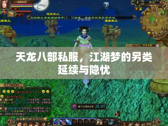 天龙八部私服，江湖梦的另类延续与隐忧