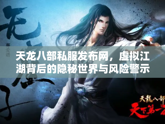 天龙八部私服发布网，虚拟江湖背后的隐秘世界与风险警示