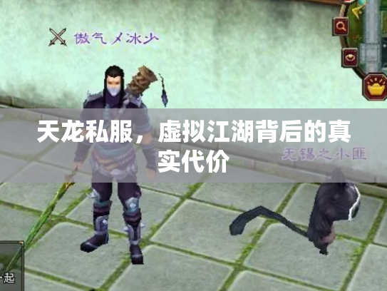 天龙私服，虚拟江湖背后的真实代价
