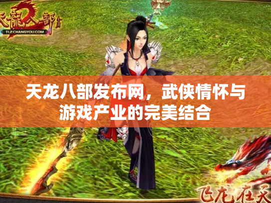 天龙八部发布网，武侠情怀与游戏产业的完美结合