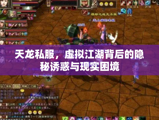 天龙私服，虚拟江湖背后的隐秘诱惑与现实困境