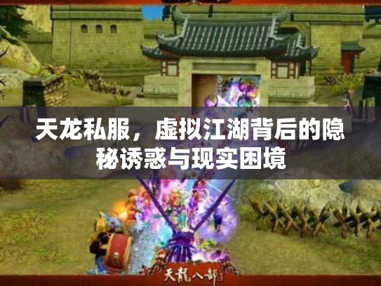 天龙私服，虚拟江湖背后的隐秘诱惑与现实困境