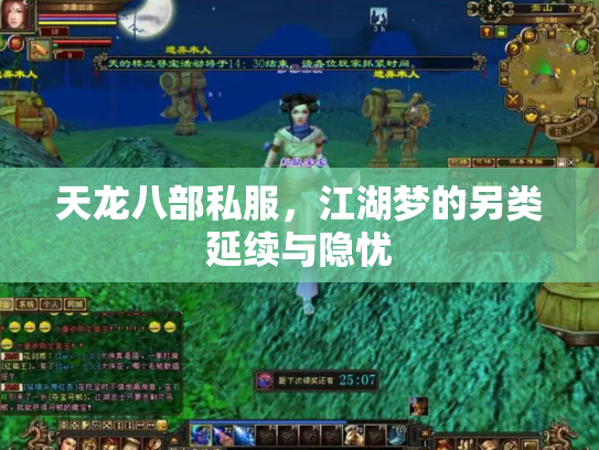天龙八部私服，江湖梦的另类延续与隐忧