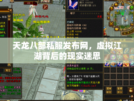 天龙八部私服发布网，虚拟江湖背后的现实迷思