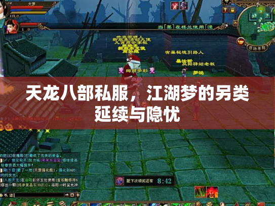天龙八部私服，江湖梦的另类延续与隐忧