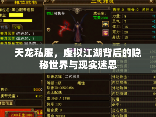 天龙私服，虚拟江湖背后的隐秘世界与现实迷思