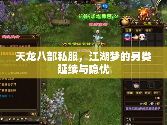 天龙八部私服，江湖梦的另类延续与隐忧