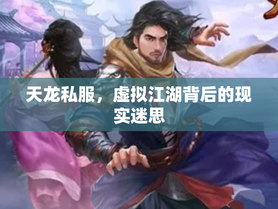 天龙私服，虚拟江湖背后的现实迷思