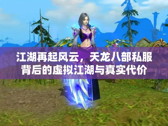 江湖再起风云，天龙八部私服背后的虚拟江湖与真实代价