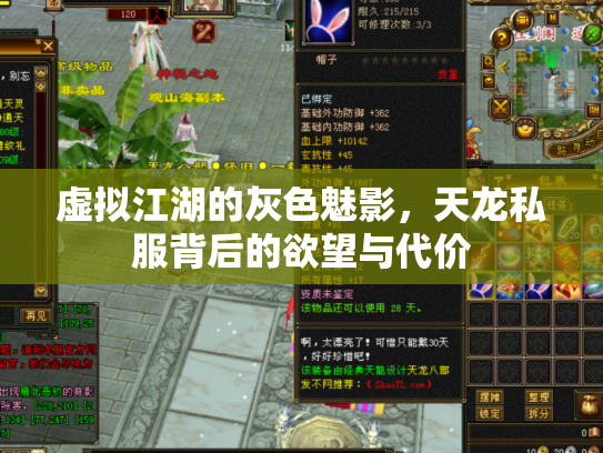 虚拟江湖的灰色魅影，天龙私服背后的欲望与代价