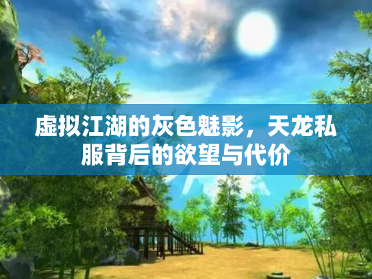 虚拟江湖的灰色魅影，天龙私服背后的欲望与代价