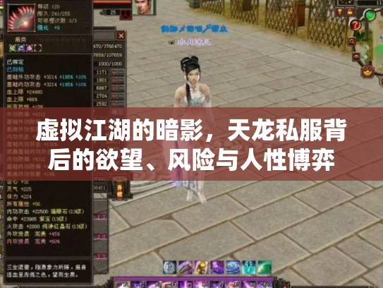 虚拟江湖的暗影，天龙私服背后的欲望、风险与人性博弈