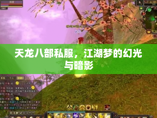 天龙八部私服，江湖梦的幻光与暗影