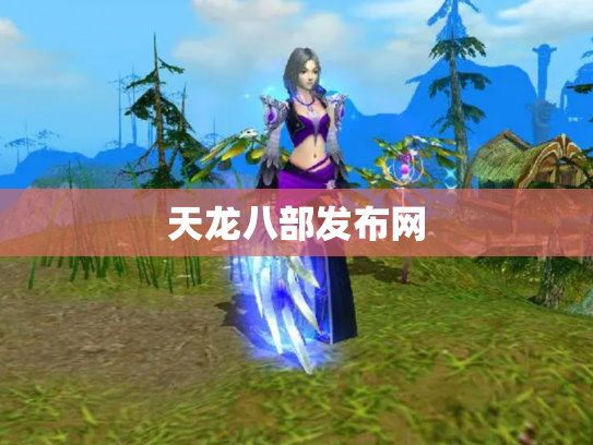 天龙八部发布网