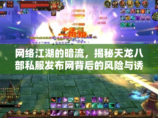 网络江湖的暗流，揭秘天龙八部私服发布网背后的风险与诱惑