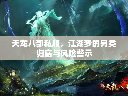 天龙八部私服，江湖梦的另类归宿与风险警示
