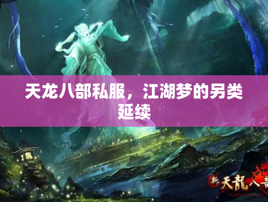 天龙八部私服，江湖梦的另类延续