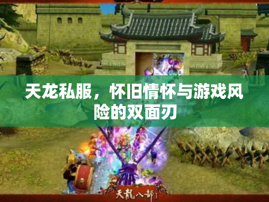 天龙私服，怀旧情怀与游戏风险的双面刃