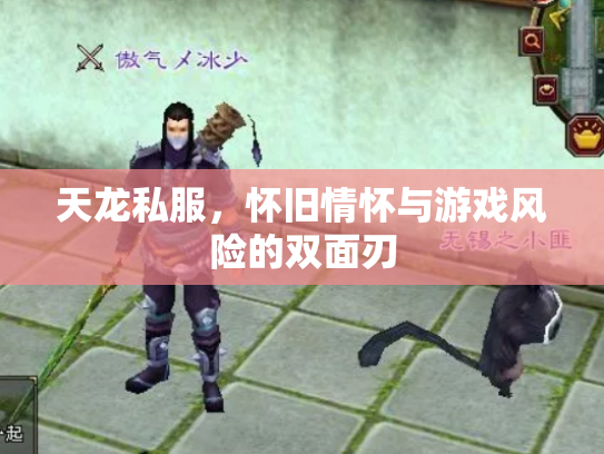 天龙私服，怀旧情怀与游戏风险的双面刃