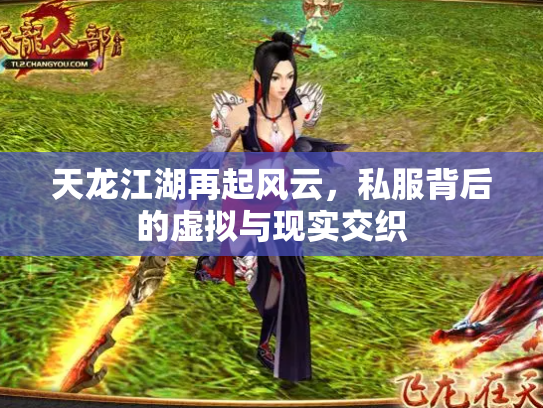 天龙江湖再起风云，私服背后的虚拟与现实交织