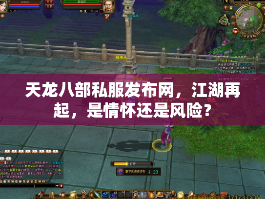 天龙八部私服发布网，江湖再起，是情怀还是风险？