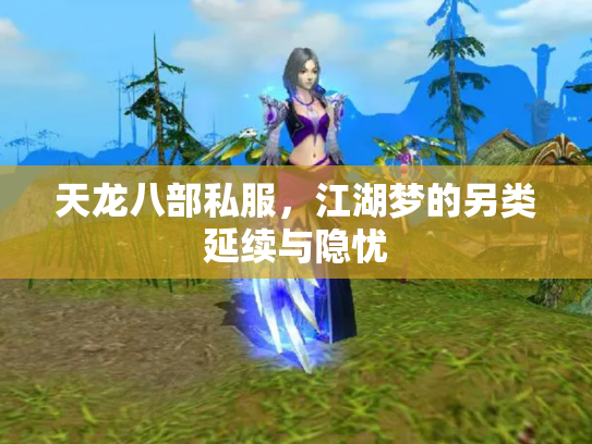 天龙八部私服，江湖梦的另类延续与隐忧