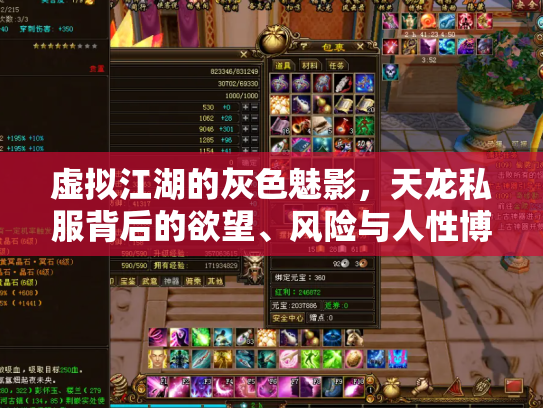 虚拟江湖的灰色魅影，天龙私服背后的欲望、风险与人性博弈